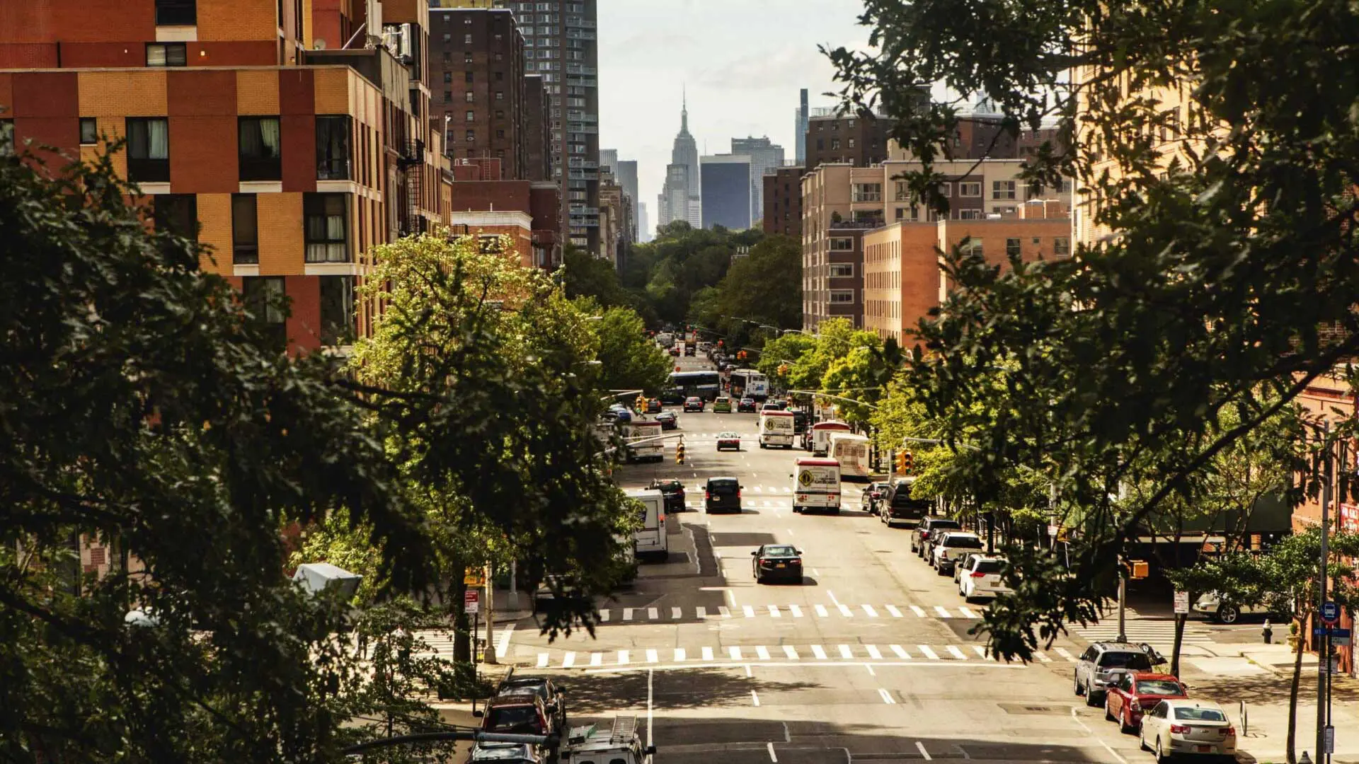 Harlem Manhattan Nyc Cleaning Services